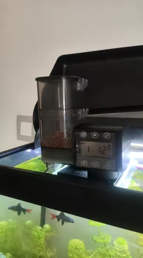 Customer 2