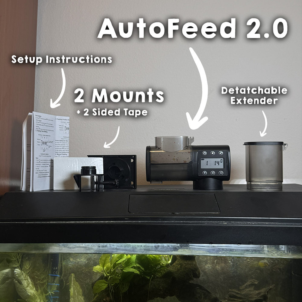 AutoFeed 2.0