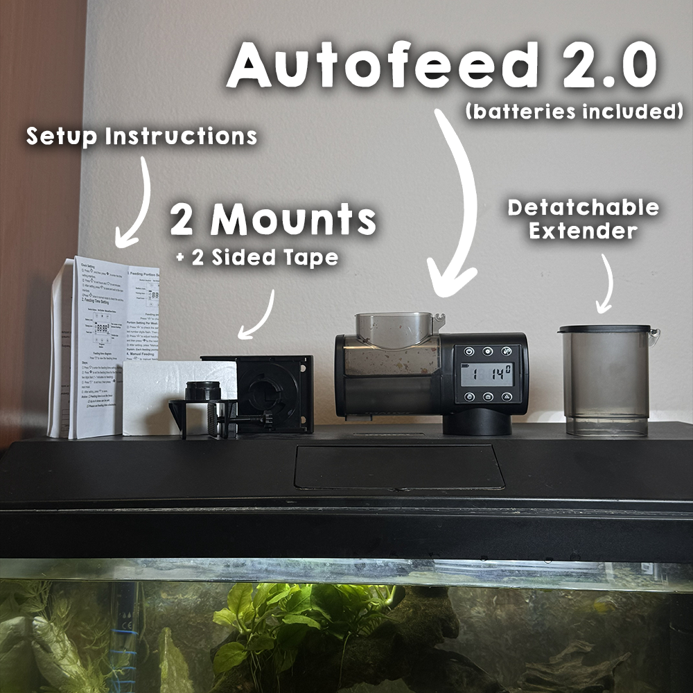 AutoFeed 2.0