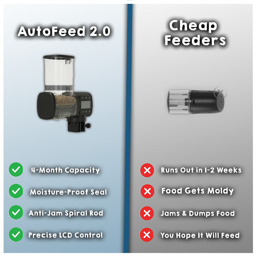AutoFeed 2.0